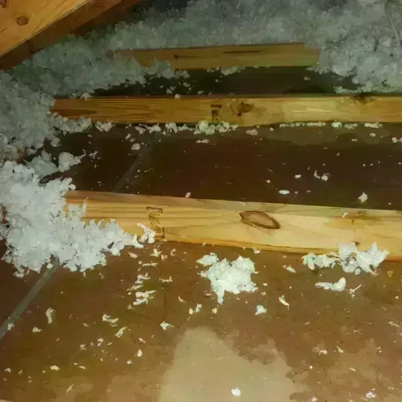 Attic Water Damage in Livermore, KY